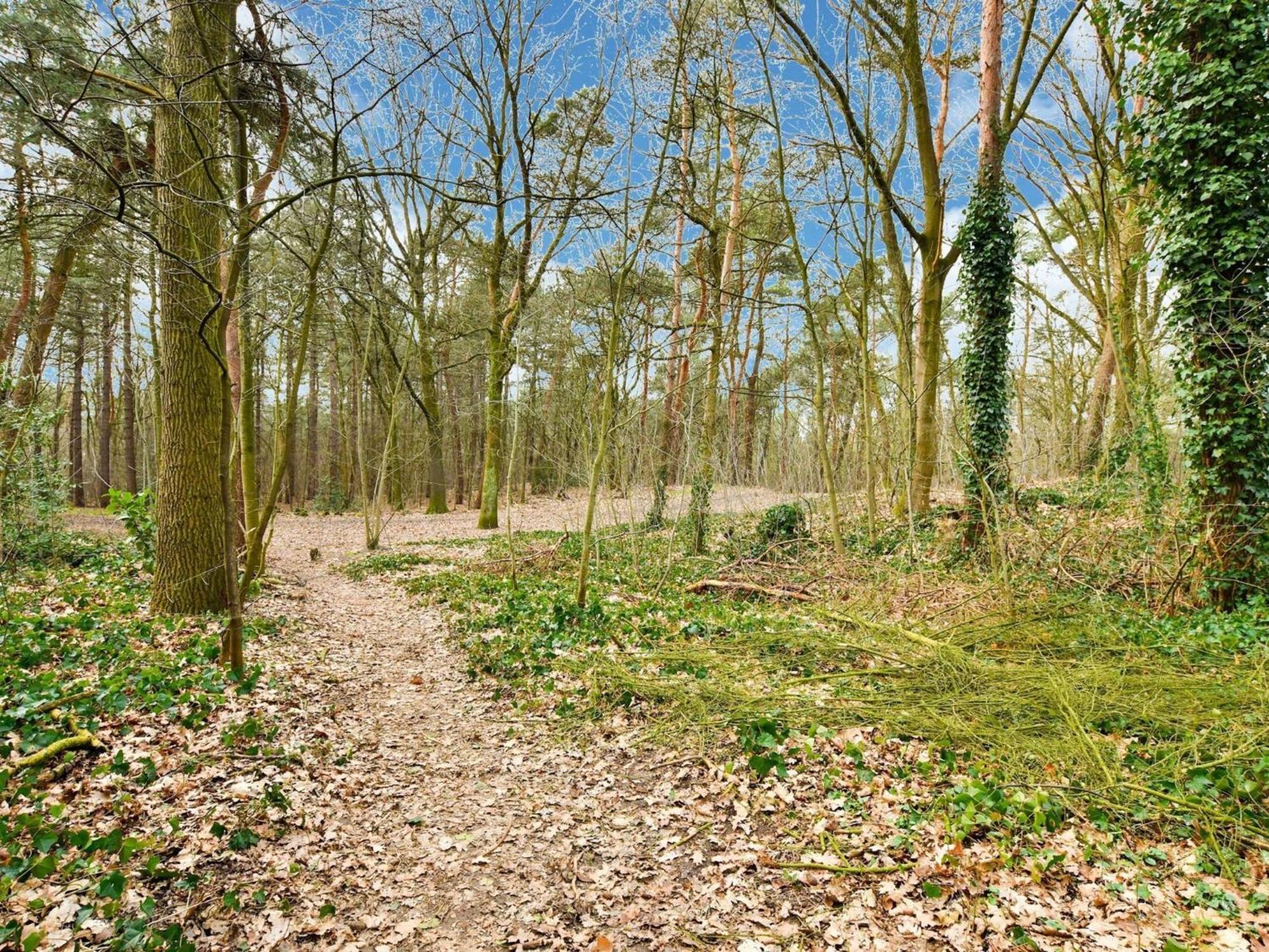 Stille Wille B13 Meijel Luaran gambar